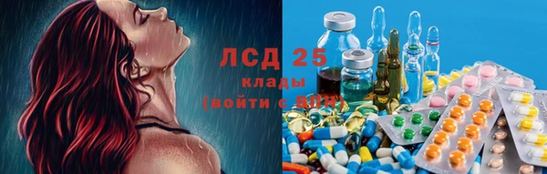 стаф Баксан