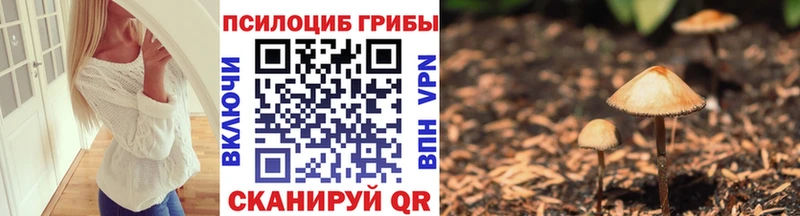 Галлюциногенные грибы Cubensis где продают Вуктыл